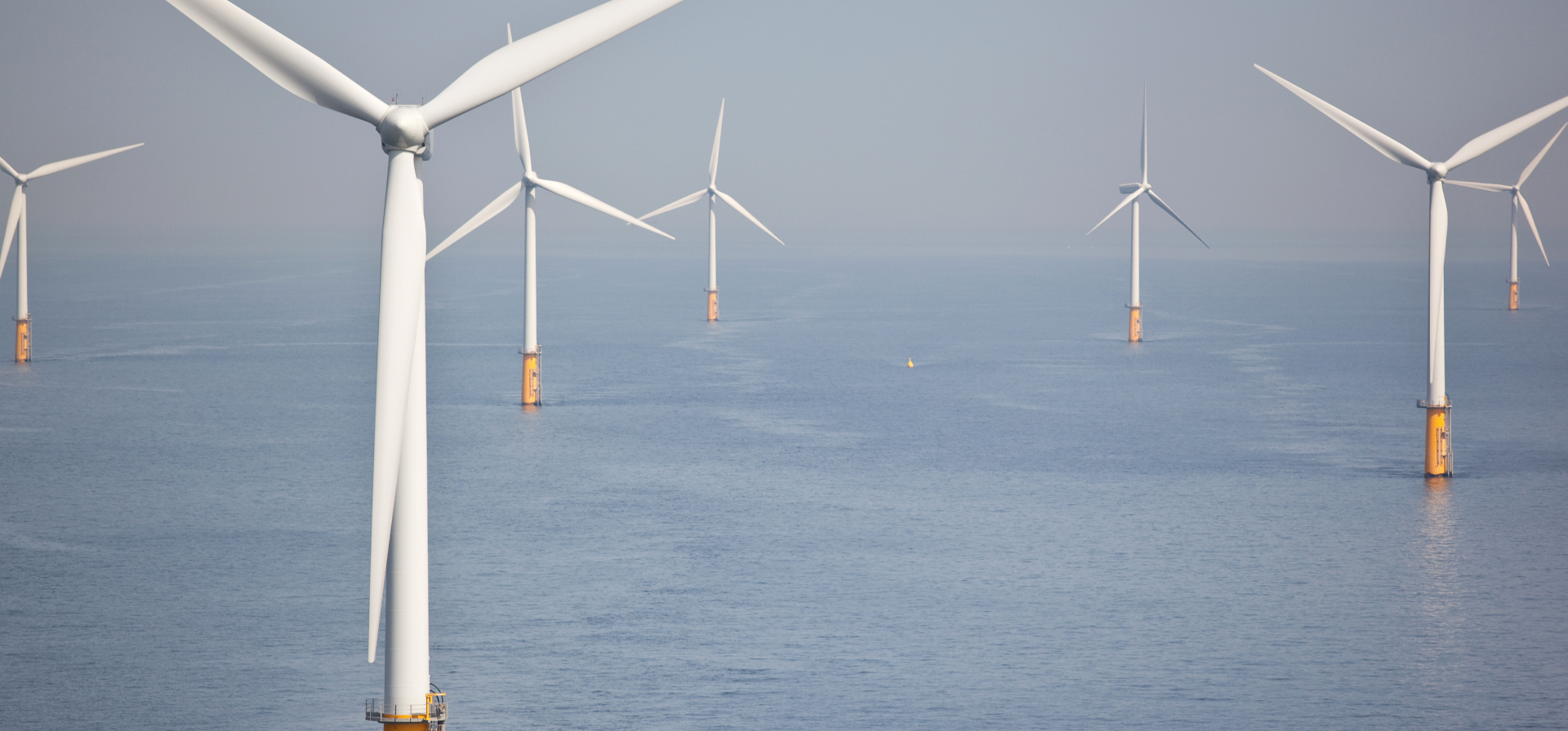 Offshore & farmy wiatrowe